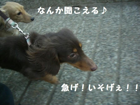 CIMG0524.JPG