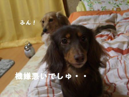 6a95746f.JPG
