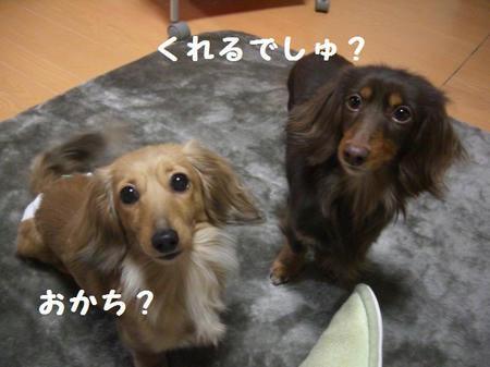 CIMG0638.JPG