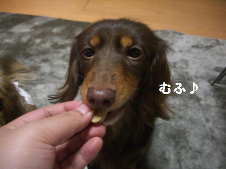 CIMG0642.JPG
