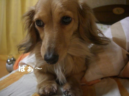 CIMG0692.JPG