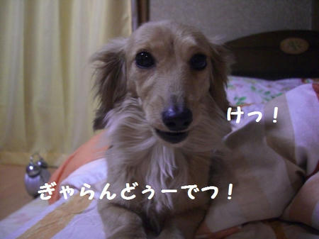CIMG0693.JPG