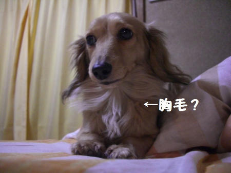 CIMG0694.JPG