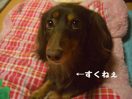 bd58d25f.JPG
