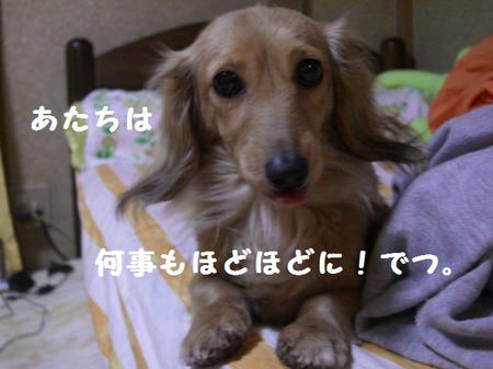 CIMG0746.JPG