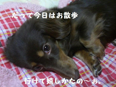 CIMG0749.JPG