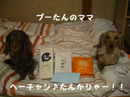 CIMG0786.JPG