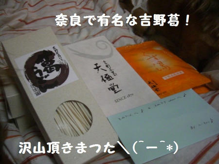 CIMG0787.JPG