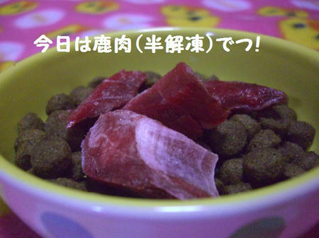 CIMG0841.JPG