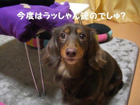CIMG0844.JPG