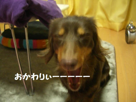 CIMG0846.JPG