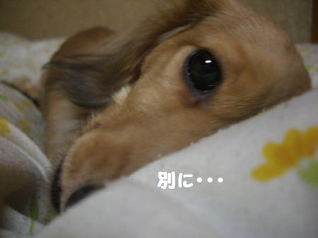 318381c7.JPG
