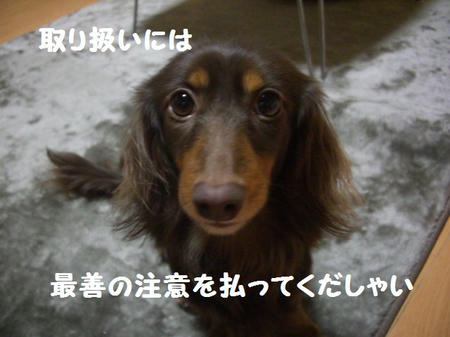 CIMG1116.JPG