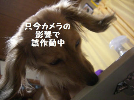 0ff1559f.JPG
