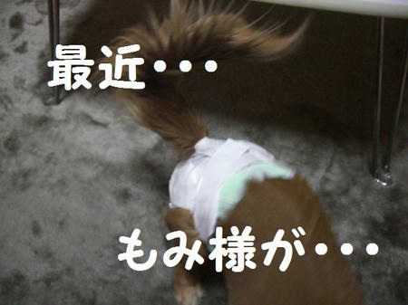 CIMG1211.JPG