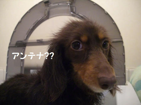be52c76c.JPG