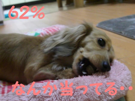 CIMG1435.JPG
