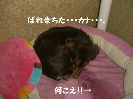 26e79582.JPG
