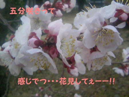 TS3C0111.JPG