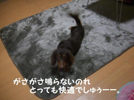 c98e657c.JPG