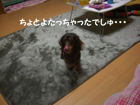 71229c1f.JPG