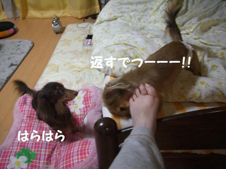 4144d7e9.JPG