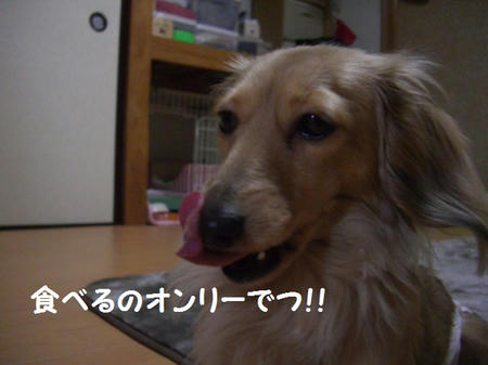 b5e973b9.JPG