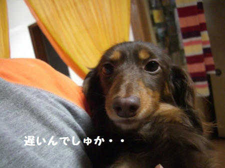 77591b07.JPG