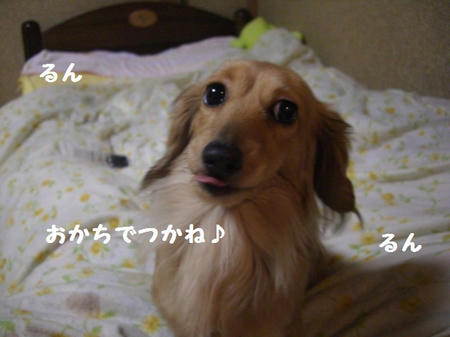 CIMG2289.JPG