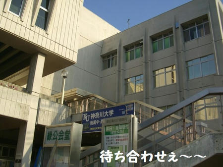 CIMG2478.JPG