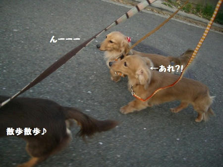 CIMG2479.JPG