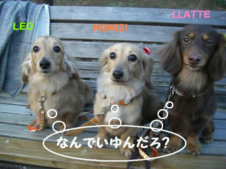 CIMG2481.JPG