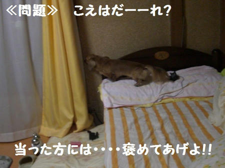 CIMG2485.JPG