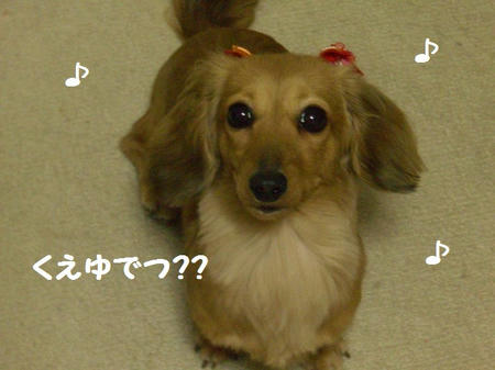 CIMG2714.JPG