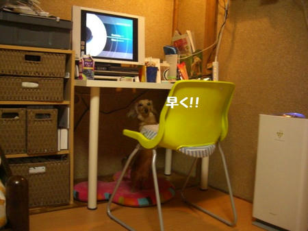 CIMG2718.JPG