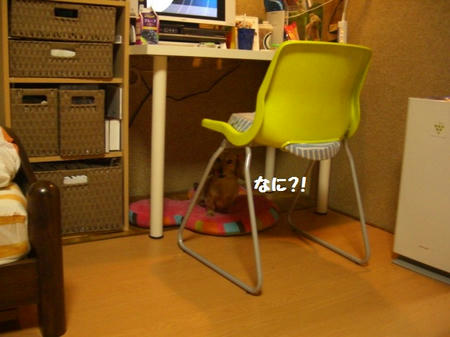 CIMG2719.JPG