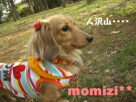 CIMG2866.JPG