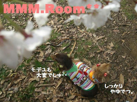 CIMG2871.JPG
