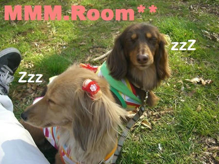 CIMG2876.JPG