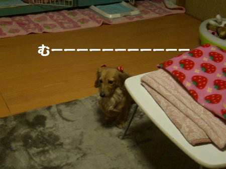 573bb2b8.JPG
