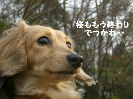368b9f7e.JPG