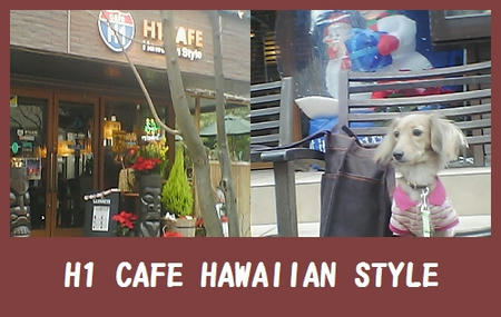 H1CAFE.jpg