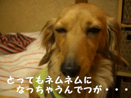 CIMG3476.JPG