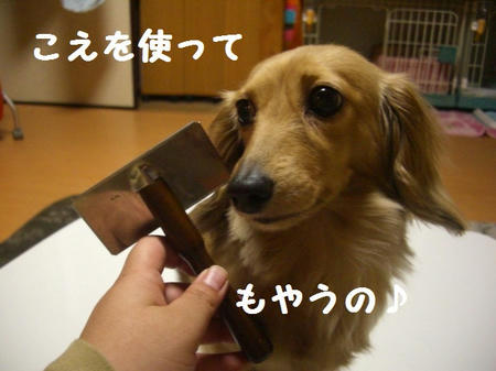 85066284.JPG