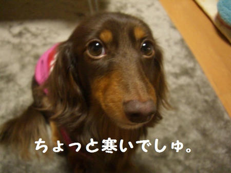 CIMG3563.JPG