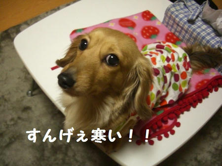 CIMG3564.JPG