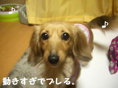 30f4bd75.JPG