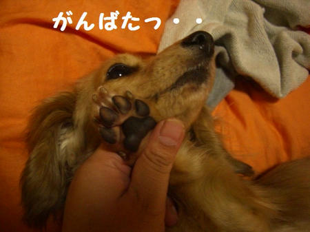 383427d5.JPG