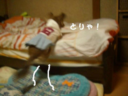 CIMG3681.JPG