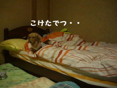 CIMG3684.JPG